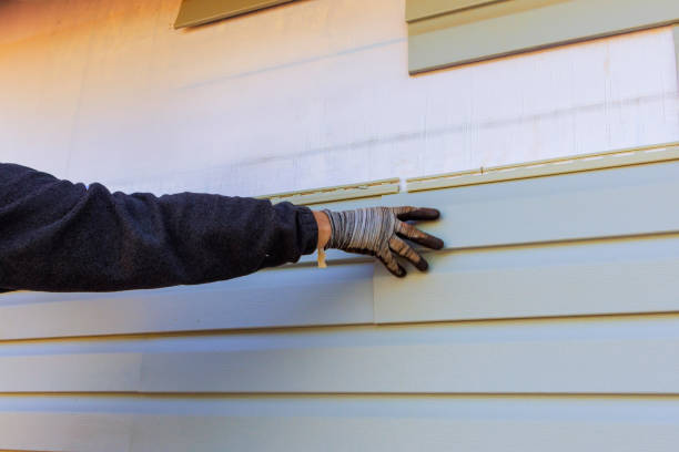 Best Custom Trim and Detailing for Siding  in Piney, AR